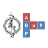 BVF-BVP